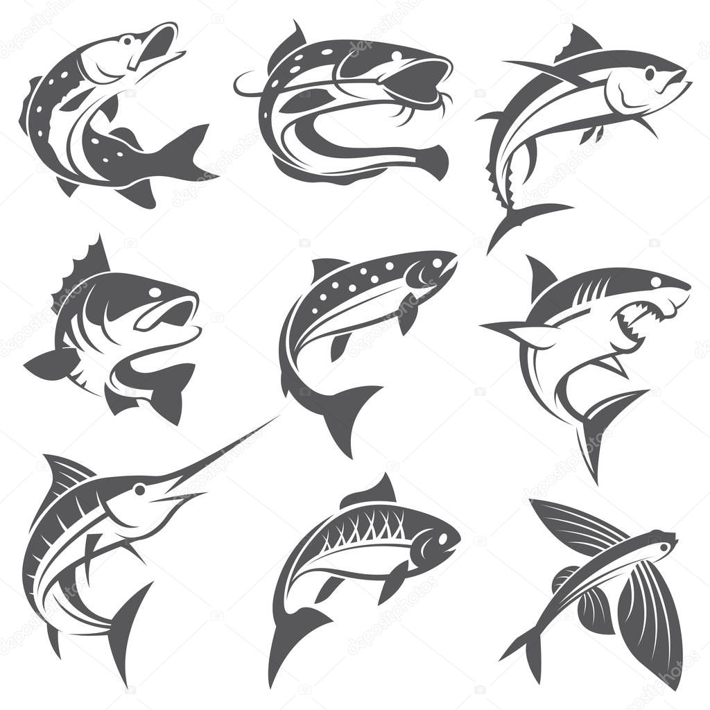 fish illustrations set