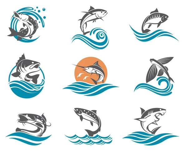 Conjunto de ilustraciones de peces — Vector de stock