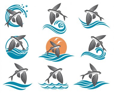 flying fish illustrations set
