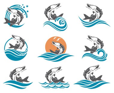 pike fish illustrations set