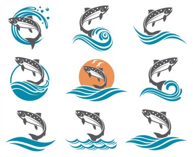 salmon fish illustrations set