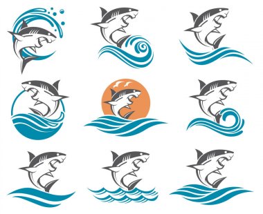 shark illustrations set