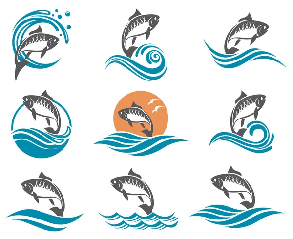 sazan balık illüstrasyonlar seti