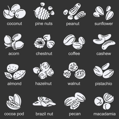 fındık Icons set