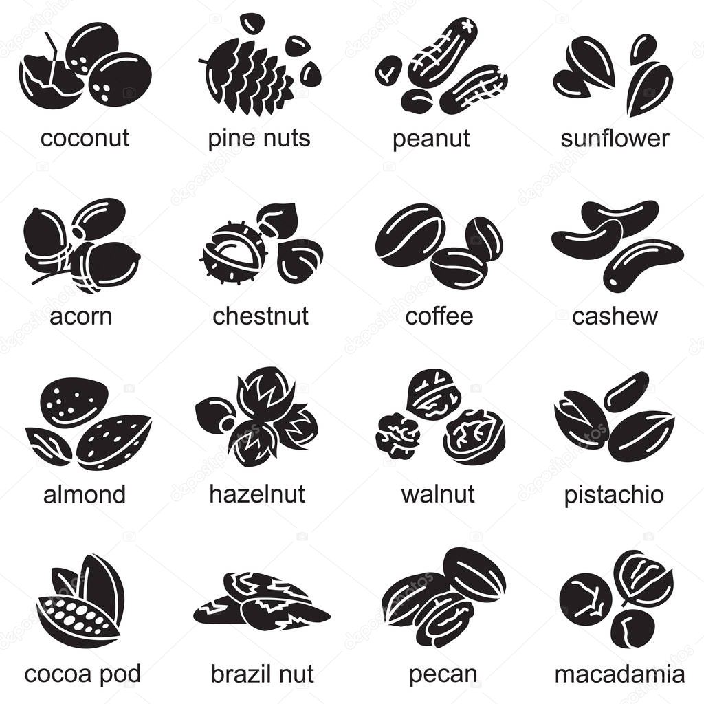 Collection of monochrome nuts icons