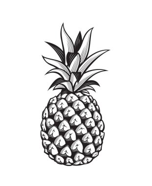 Ananas Meyve görüntüsünü