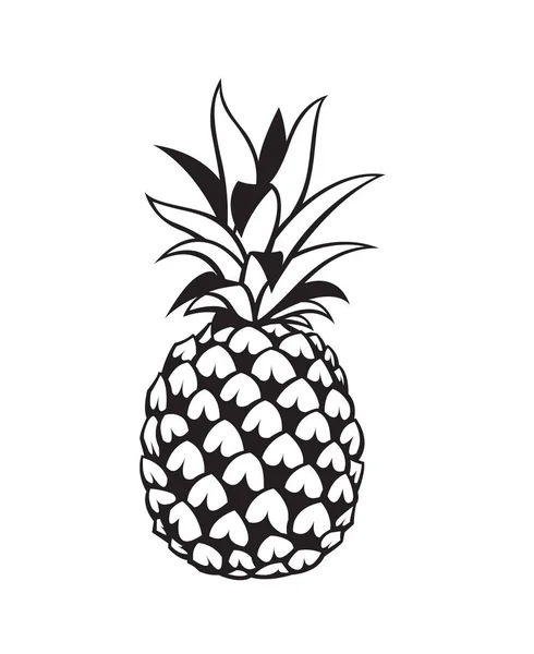 Imagen de la fruta de piña — Archivo Imágenes Vectoriales