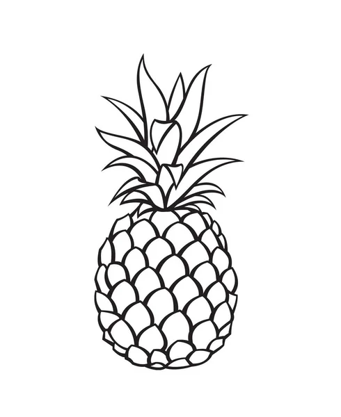 Bilden av ananas frukt — Stock vektor
