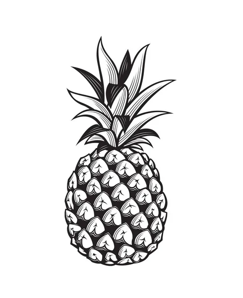 Imagen de la fruta de piña — Archivo Imágenes Vectoriales