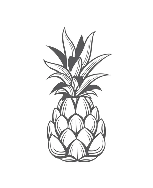Εικόνα του φρούτα ανανά — Διανυσματικό Αρχείο