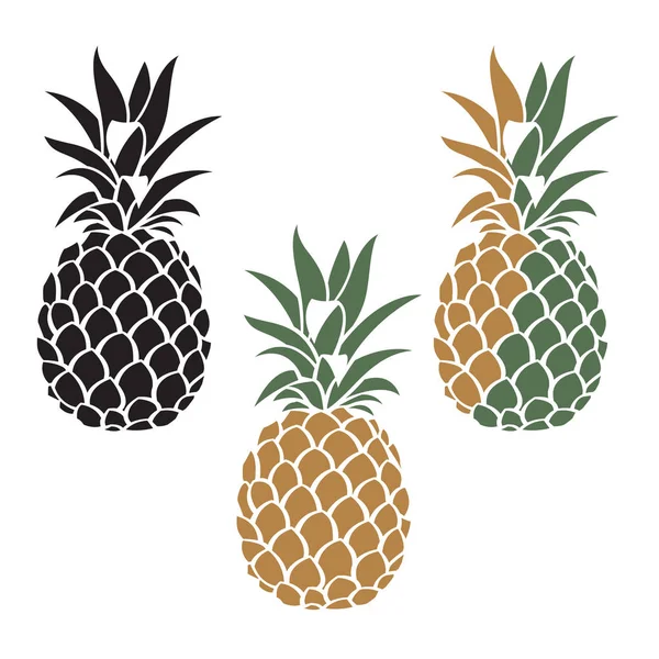 Conjunto de fruta de piña — Archivo Imágenes Vectoriales