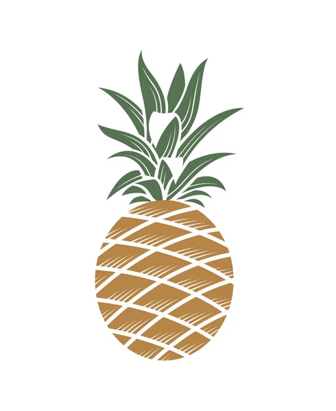 Фруктовое изображение ананаса — стоковый вектор
