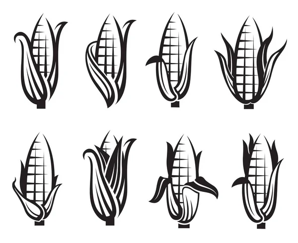 トウモロコシの画像セット — ストックベクタ