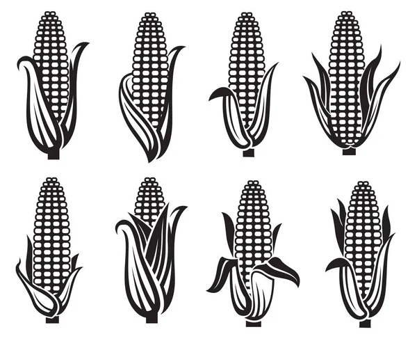 Corn images set — Stock Vector