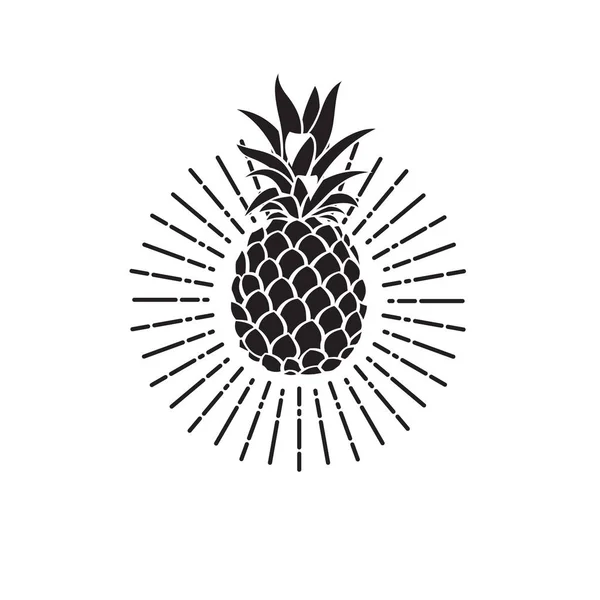パイナップルのフルーツのイメージ — ストックベクタ