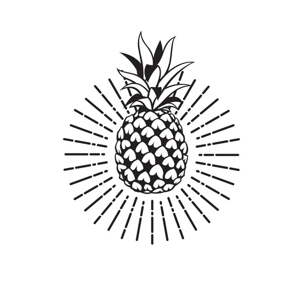 Imagen de la fruta de piña — Archivo Imágenes Vectoriales