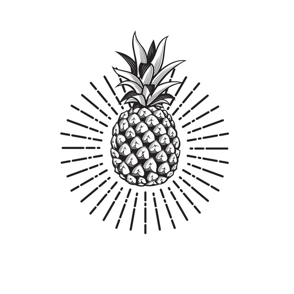 Bilden av ananas frukt — Stock vektor