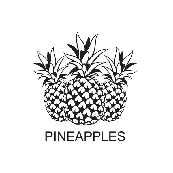 Imagen de frutas de piña — Archivo Imágenes Vectoriales