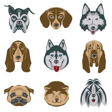 köpek kafaları seti