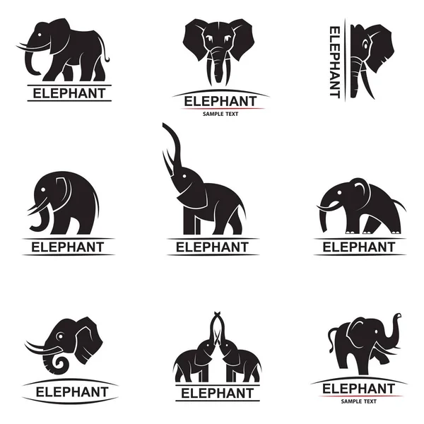 Conjunto de iconos de elefante — Vector de stock