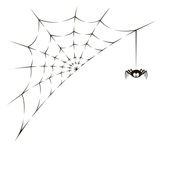 Spider and web — Stock Vector