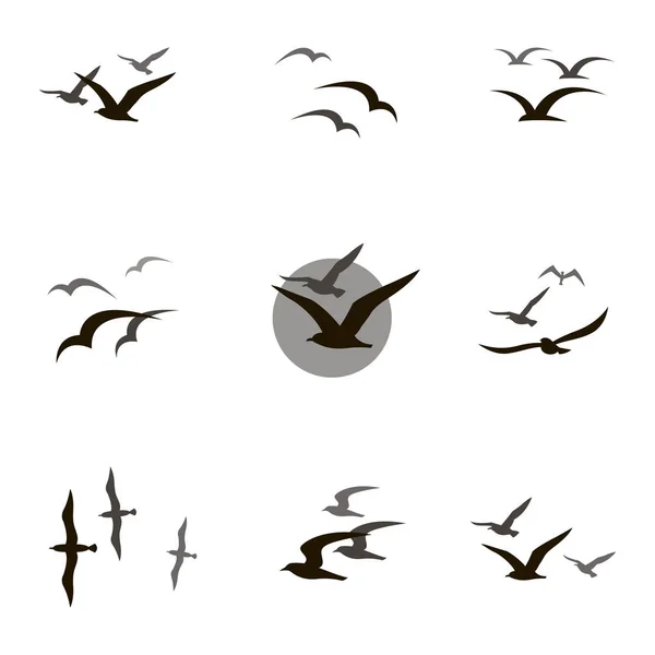 Jogo de gaivotas — Vetor de Stock