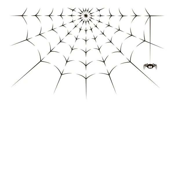 蜘蛛と白い背景のクモの巣のイラスト — ストックベクタ