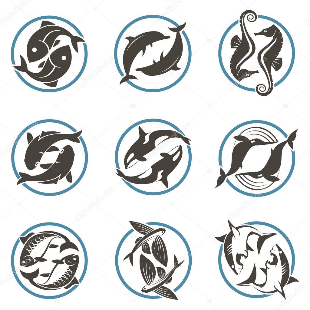 Collection of fish icon isolated