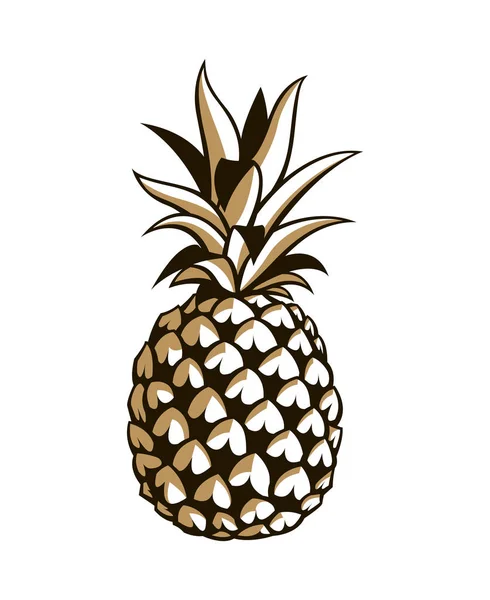 Ilustración Fruta Tropical Piña — Archivo Imágenes Vectoriales