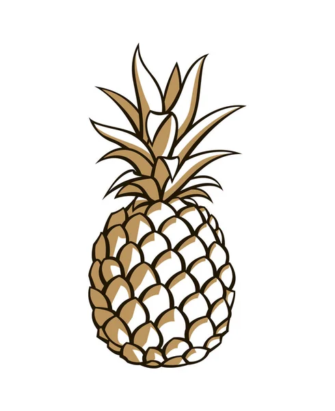 パイナップルのトロピカル フルーツのイラスト — ストックベクタ