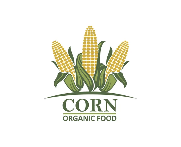 Emblema Vegetal Milho Colorido Fazenda — Vetor de Stock