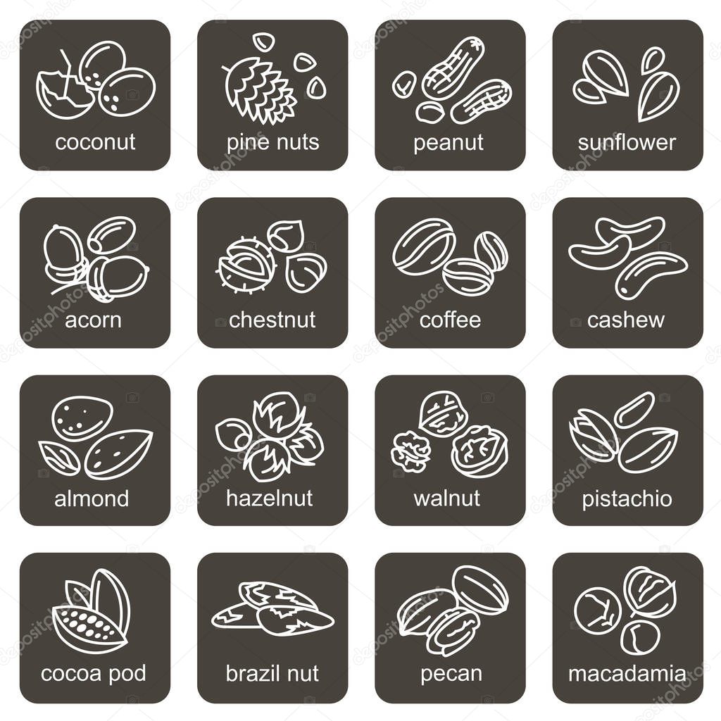 Collection of various nuts icons isolated on black background