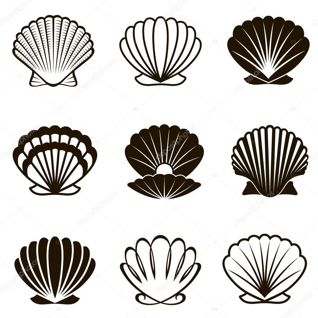 Monochrome collection of various seashells isolated on white background