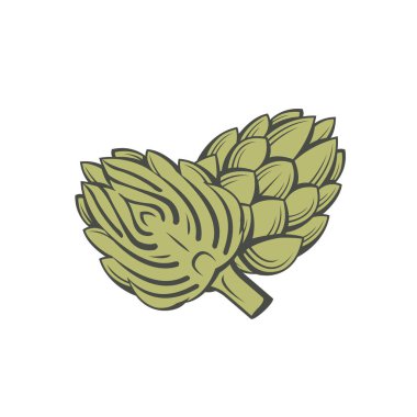 yeşil enginar tomurcuklanması beyaz arkaplanda izole edilmiş sebze çizimi