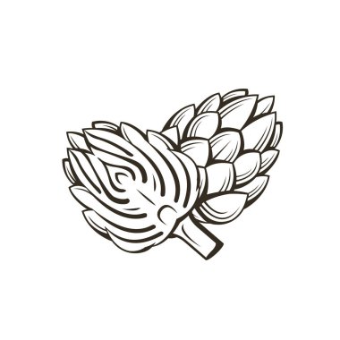 Siyah enginar tomurcuklanması beyaz arkaplanda izole edilmiş sebze çizimi