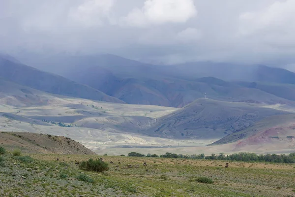 Altai Mars Steppe Kurai Steppe Dağlar Tepeler Renkli Toprak Kırmızı — Stok fotoğraf