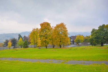 Oslo Norveç'te 2015 yılında böyle bir sezonunda bahar renkleri