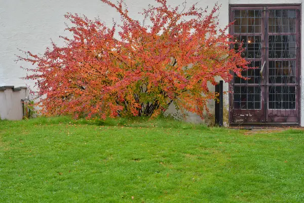 Frühlingsfarben neben Eisentür in Oslo Norwegen während einer solchen s — Stockfoto