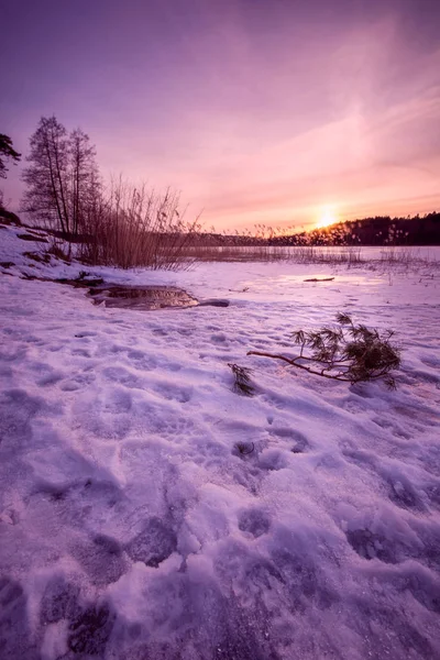 Lago ghiacciato a Goteborg Svezia 2018 — Foto Stock