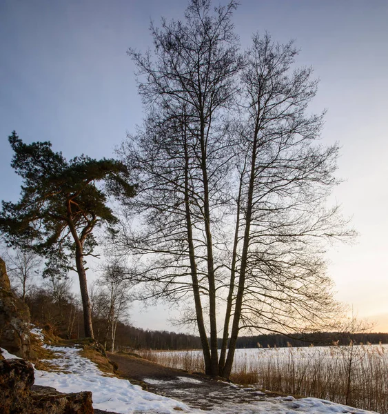 Frozen lake in Gothenburg Sweden 2018