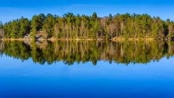 Lesní odraz v jezeře v Göteborgu, Švédsko — Stock fotografie