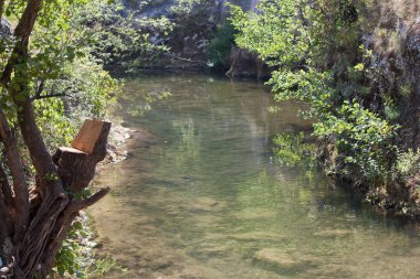 Sırbistan 'da Moravica Nehri