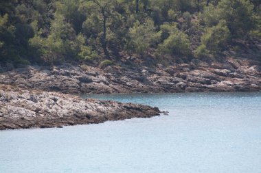 Thassos vahşi plajları