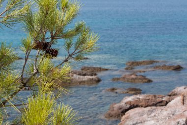 Thassos vahşi plajları