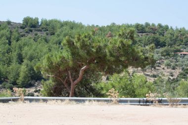 Thasos yaz saati taş