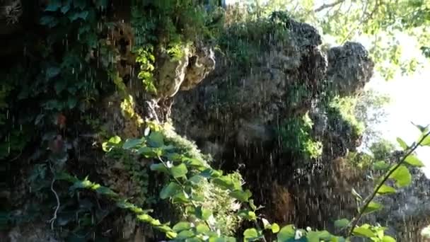 旧城Avignon公园岩石上的喷泉 晨阳下的水滴 普罗旺斯法国 — 图库视频影像