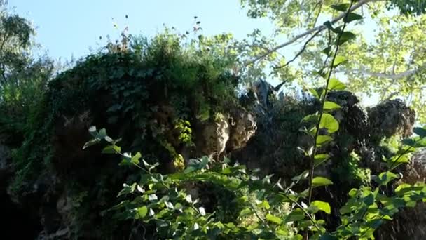 Fuente Sobre Las Rocas Parque Aviñón Casco Antiguo Las Aves — Vídeos de Stock