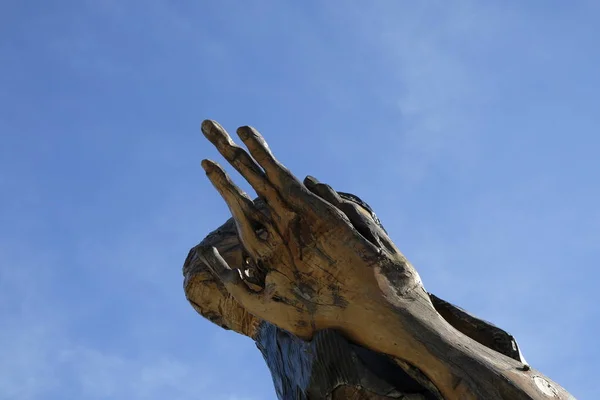 Main Sculpture Concert Bois Pointant Vers Ciel Joucas Luberon Provence — Photo