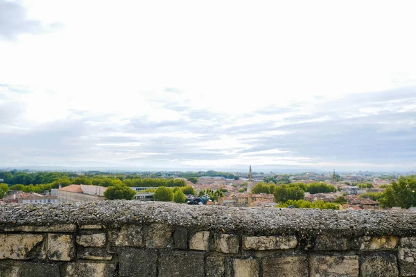 Dziki Gołąb Średniowiecznym Murze Avignon Horyzoncie Znajdują Się Pomarańczowe Dachy — Zdjęcie stockowe