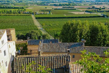 Üzüm bağlarının ve Joucas 'ın evlerinin kiremitli çatılarının üst manzarası. Fransa 'nın şarap bölgesi. Turizm.